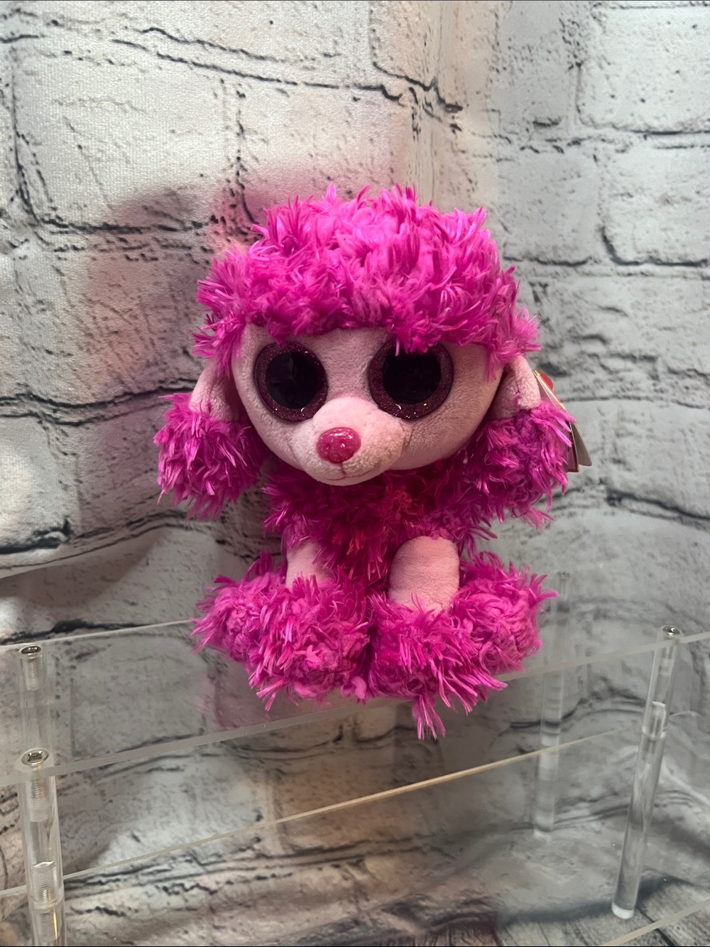 TY Beanie Boo Patsy the Pink Poodle - 6" Plush Retired 2016 - Great Condition